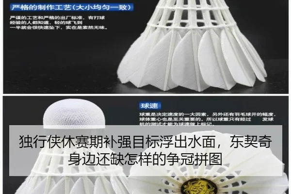 独行侠休赛期补强目标浮出水面，东契奇身边还缺怎样的争冠拼图